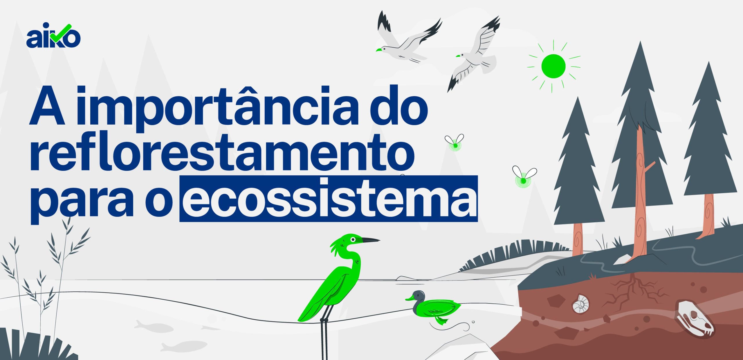 Reflorestamento no Brasil